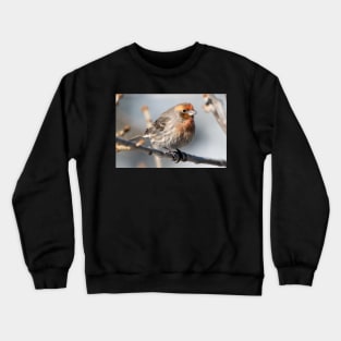 Mr. finch Crewneck Sweatshirt